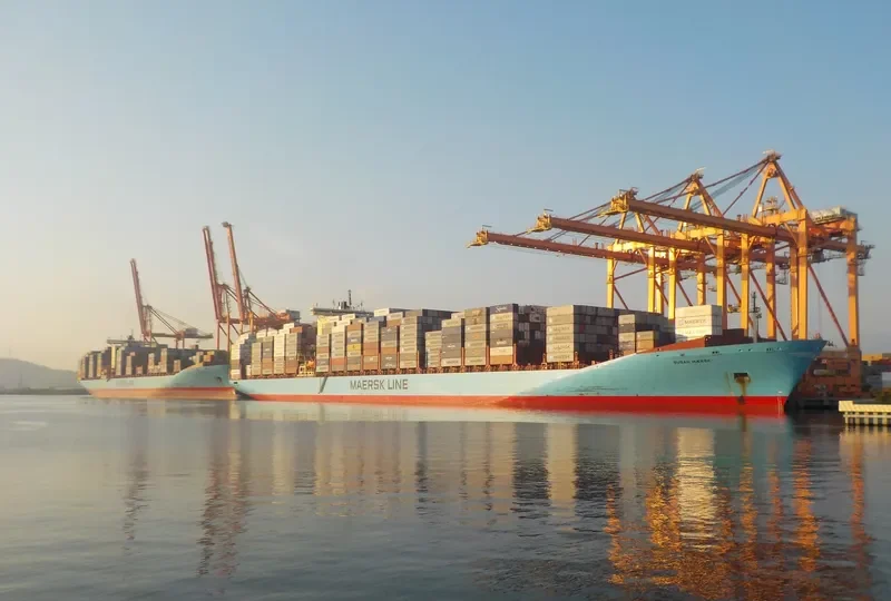 MSC FIE Container Ship IMO 9120853