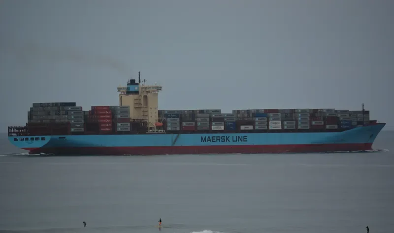 MSC FIE Container Ship IMO 9120853 photo 2