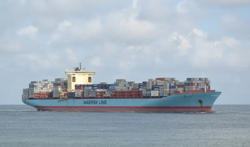 MSC FIE Container Ship IMO 9120853 photo 3
