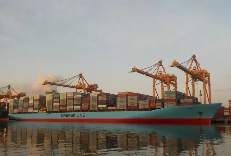 MSC FIE Container Ship IMO 9120853 photo 4