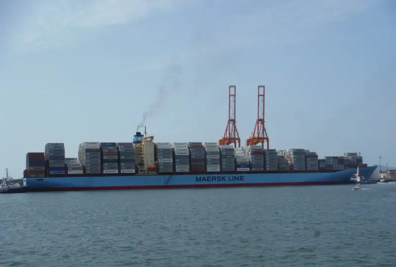 MSC FIE Container Ship IMO 9120853 photo 6