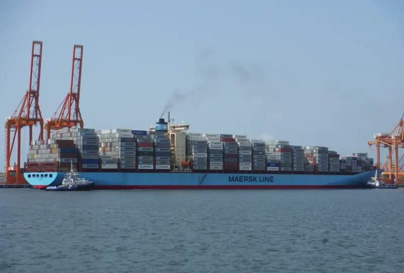 MSC FIE Container Ship IMO 9120853 photo 7