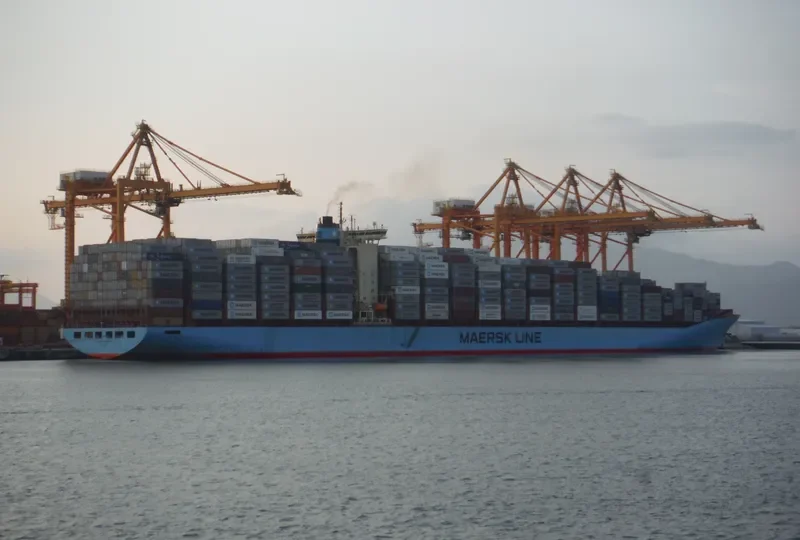 MSC FIE Container Ship IMO 9120853 photo 8