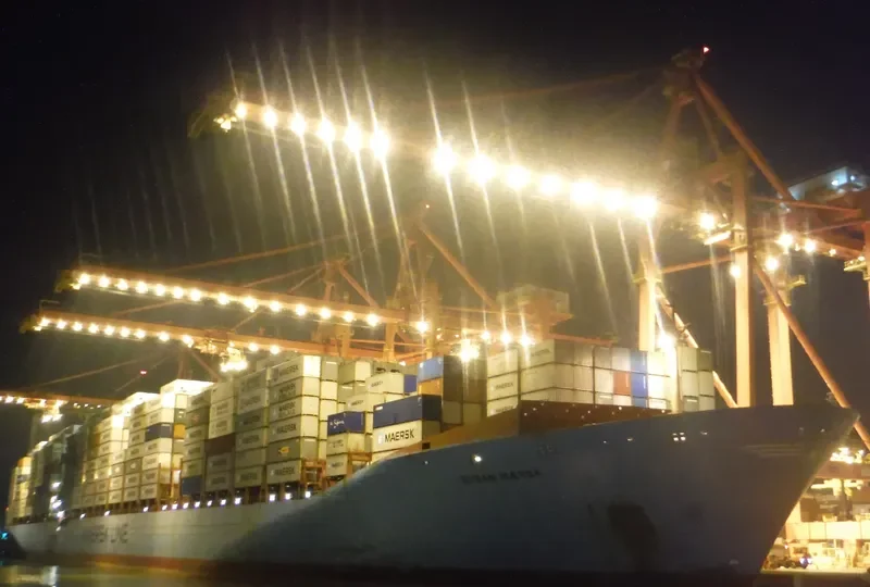 MSC FIE Container Ship IMO 9120853 photo 9