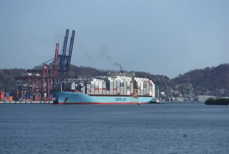 MSC FIE Container Ship IMO 9120853 photo 10