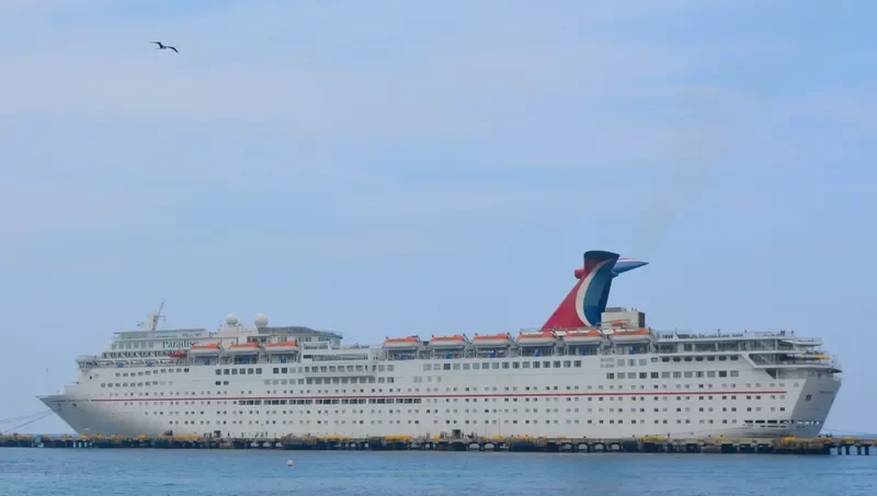 CARNIVAL PARADISE Passenger Ship IMO 9120877 photo 9