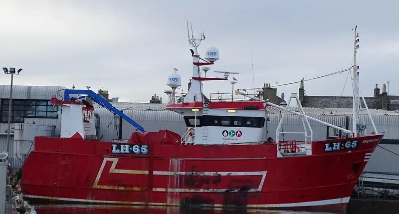 GV SHEMARAH II General Cargo IMO 9120889 photo 3