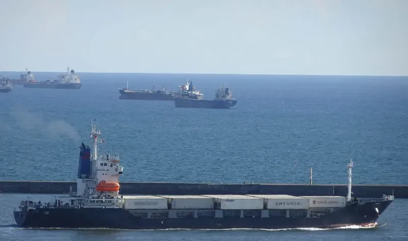 HAI HONG 1 Container Ship IMO 9121039 photo 2