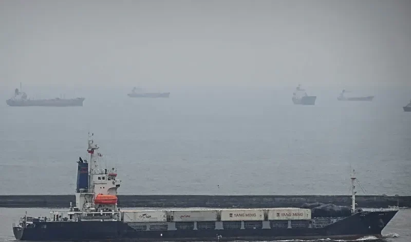 HAI HONG 1 Container Ship IMO 9121039 photo 4