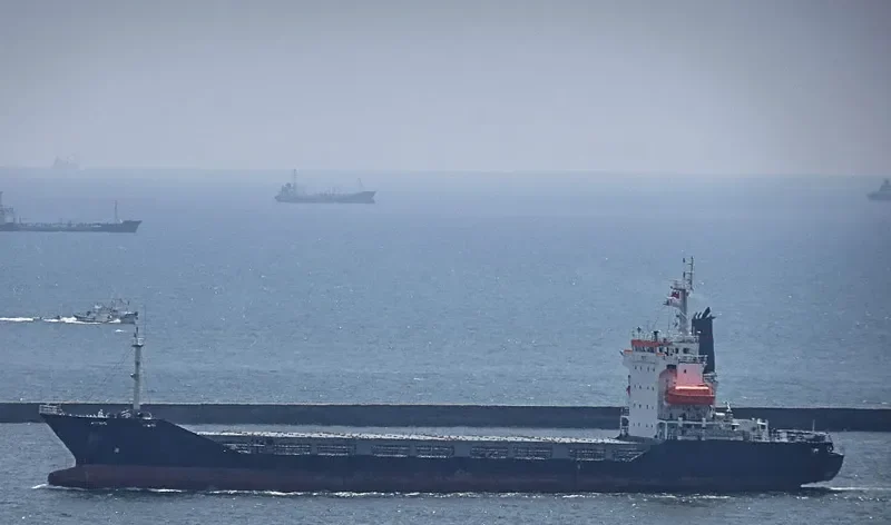 HAI HONG 1 Container Ship IMO 9121039 photo 5