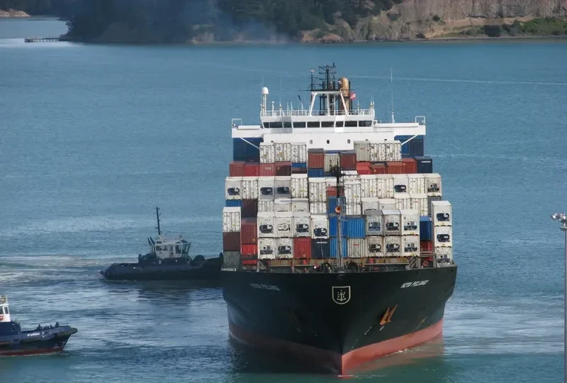 MAMITSA Container Ship IMO 9121259 photo 5