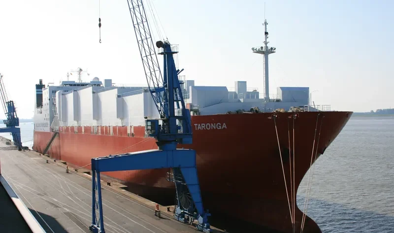 ENDURANCE General Cargo IMO 9121273 photo 3