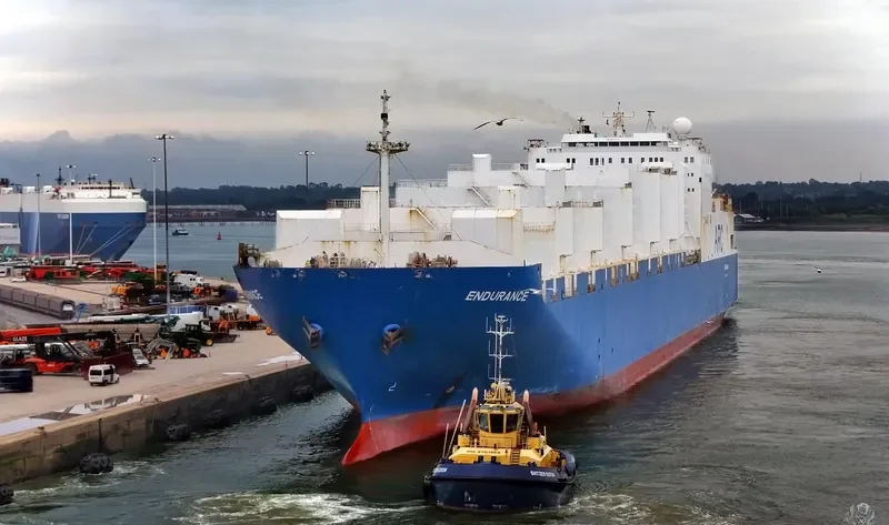 ENDURANCE General Cargo IMO 9121273 photo 5