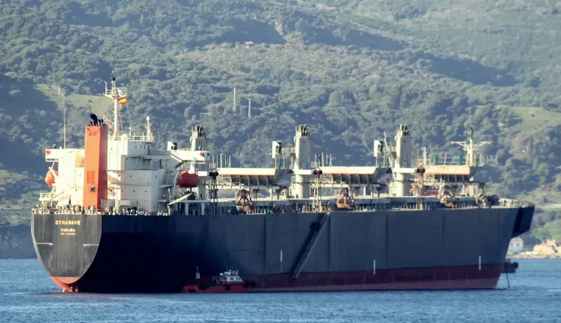 GREEN GARNET Bulk Carrier IMO 9121285 photo 5