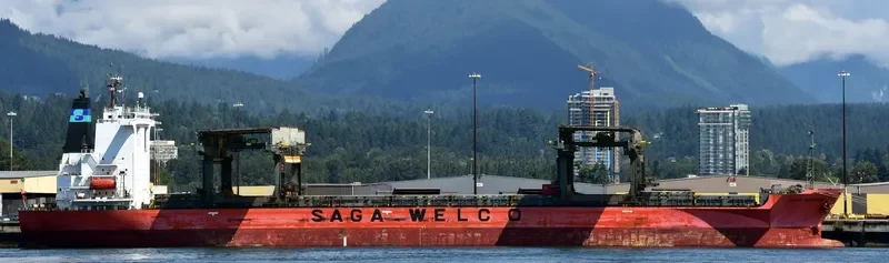 SAGA HORIZON General Cargo IMO 9121297 photo 8