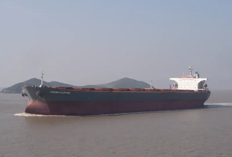 OCEAN QUEEN Bulk Carrier IMO 9121326 photo 2