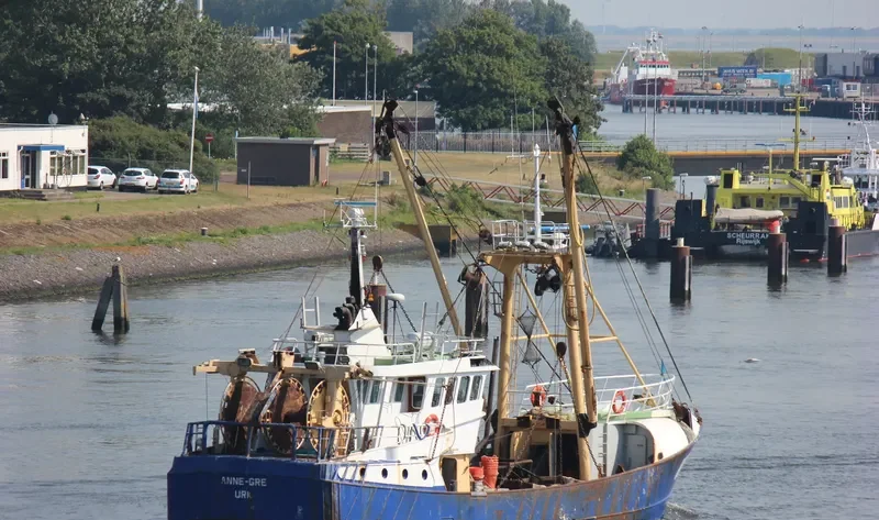 ANNE GRE General Cargo IMO 9121364 photo 9