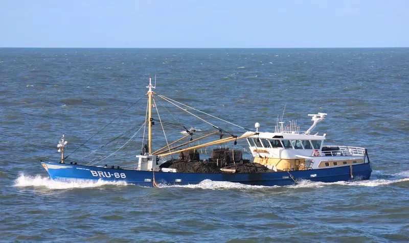 SPERA IN DEO General Cargo IMO 9121455 photo 6