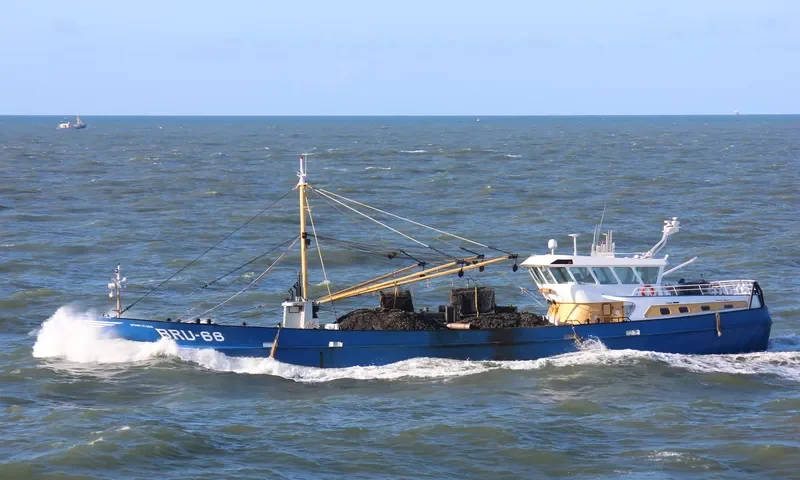 SPERA IN DEO General Cargo IMO 9121455 photo 7