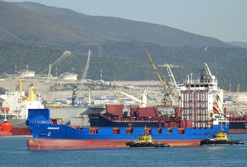 ABANOZ Container Ship IMO 9121857 photo 4