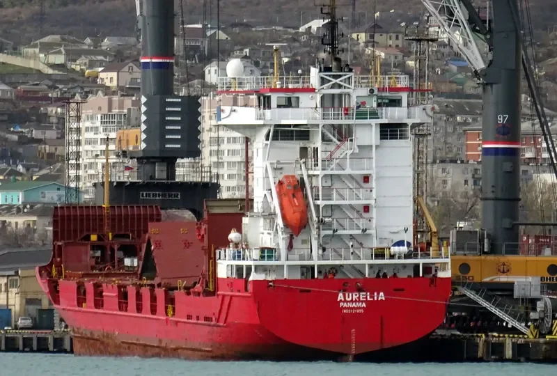 AURELIA Container Ship IMO 9121895 photo 2