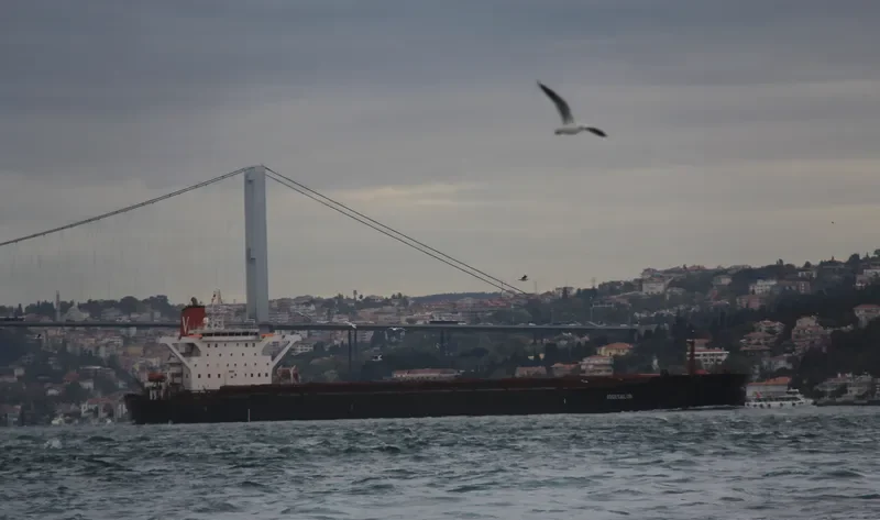 NGMSAILOR Bulk Carrier IMO 9122100 photo 3