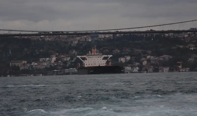 NGMSAILOR Bulk Carrier IMO 9122100 photo 4