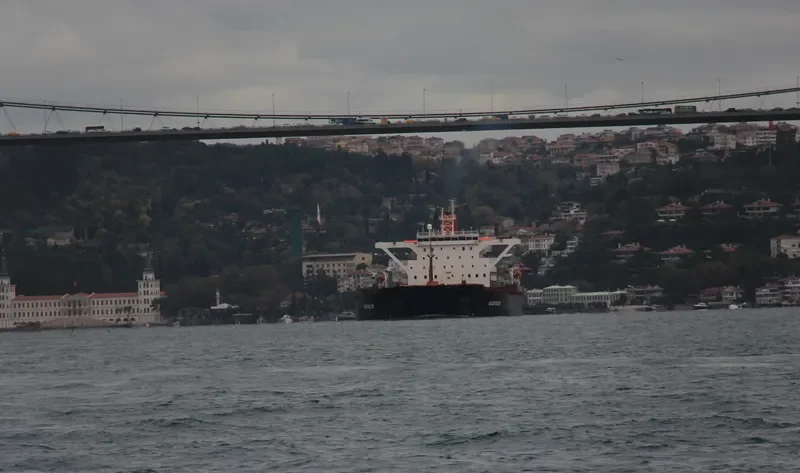 NGMSAILOR Bulk Carrier IMO 9122100 photo 5