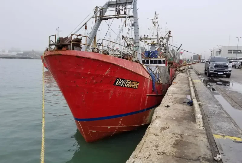 DON GAETANO General Cargo IMO 9122148 photo 3
