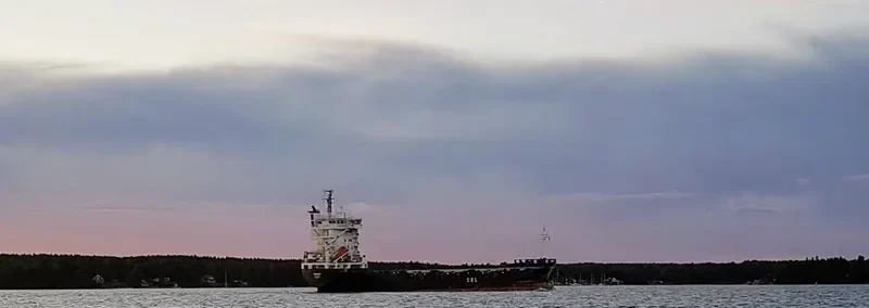 ADMIRAL DANIAL Container Ship IMO 9122227 photo 7