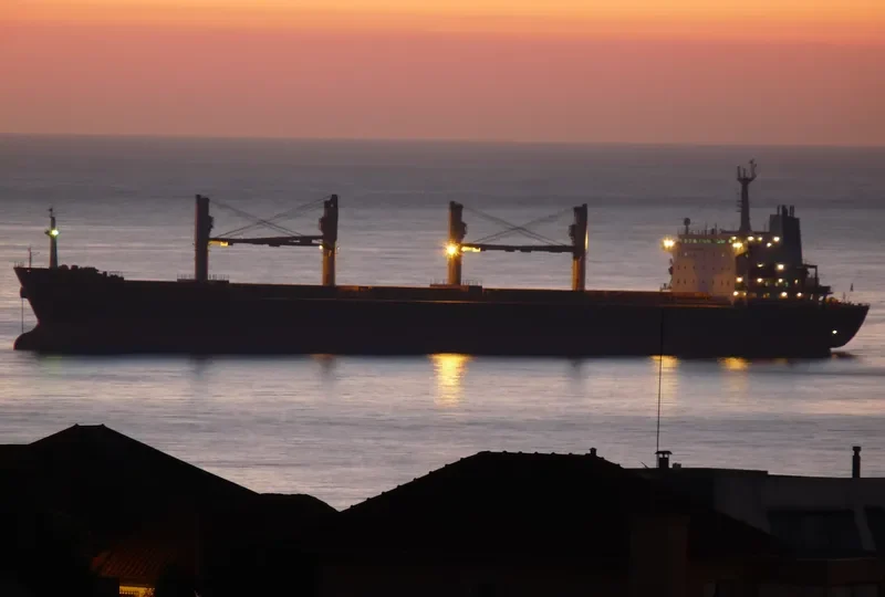 KAVKAZ III Bulk Carrier IMO 9122289 photo 7
