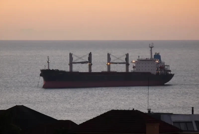 KAVKAZ III Bulk Carrier IMO 9122289 photo 8