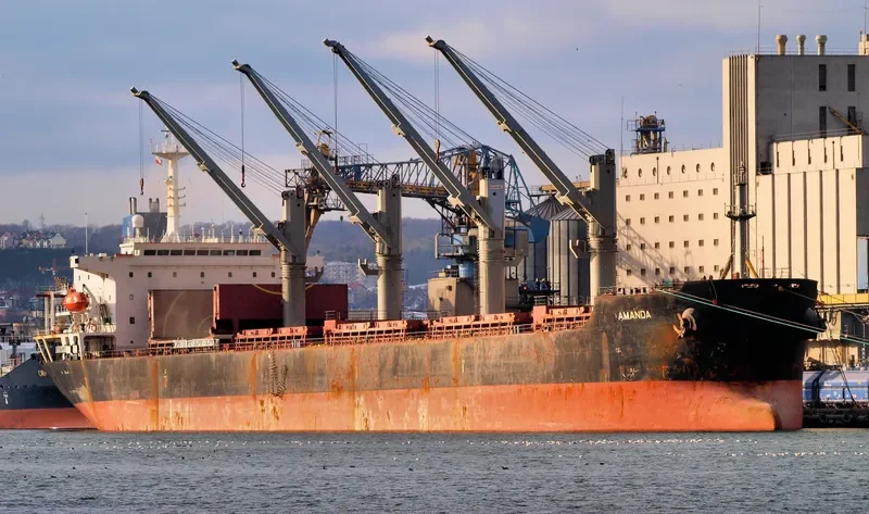 KAVKAZ III Bulk Carrier IMO 9122289 photo 9
