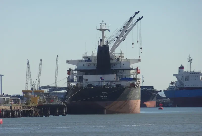 RISING HARRIER Bulk Carrier IMO 9122291