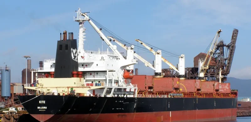 RISING HARRIER Bulk Carrier IMO 9122291 photo 2