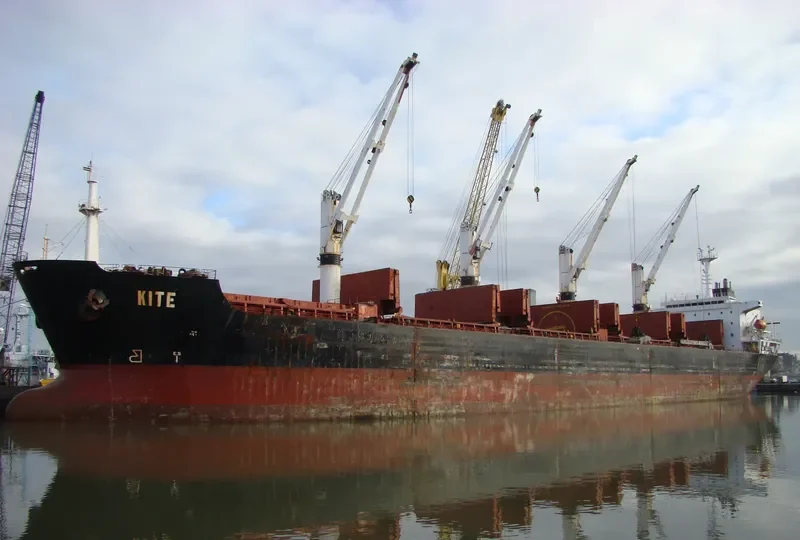 RISING HARRIER Bulk Carrier IMO 9122291 photo 4