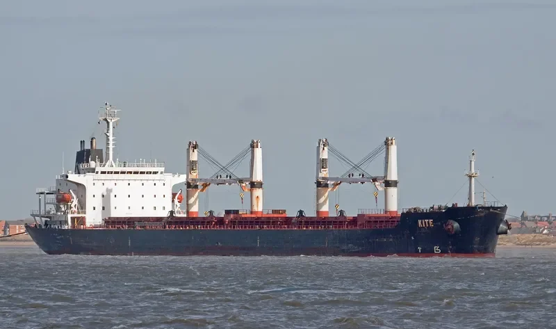 RISING HARRIER Bulk Carrier IMO 9122291 photo 5