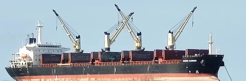 RISING HARRIER Bulk Carrier IMO 9122291 photo 6