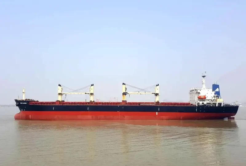 RISING HARRIER Bulk Carrier IMO 9122291 photo 7