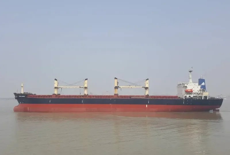 RISING HARRIER Bulk Carrier IMO 9122291 photo 8