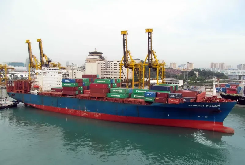 HAMMONIA GALLICUM Container Ship IMO 9122394