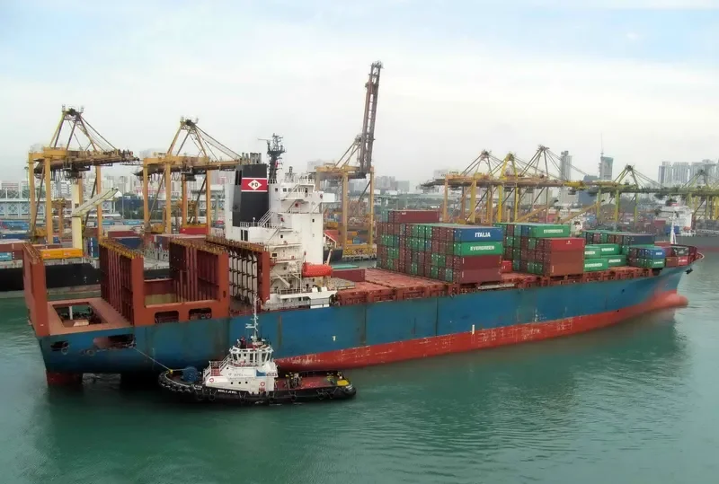 HAMMONIA GALLICUM Container Ship IMO 9122394 photo 2