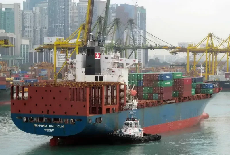 HAMMONIA GALLICUM Container Ship IMO 9122394 photo 3
