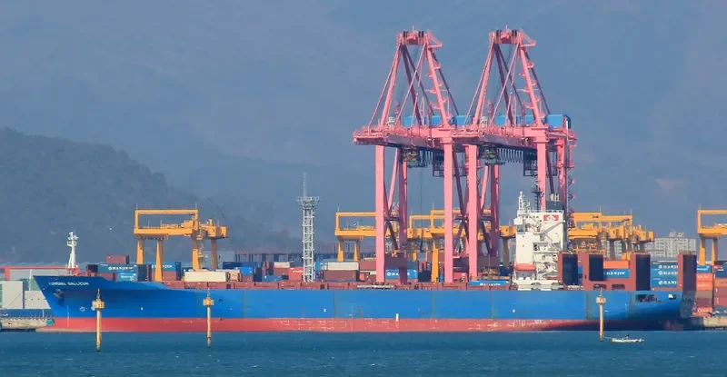 HAMMONIA GALLICUM Container Ship IMO 9122394 photo 4