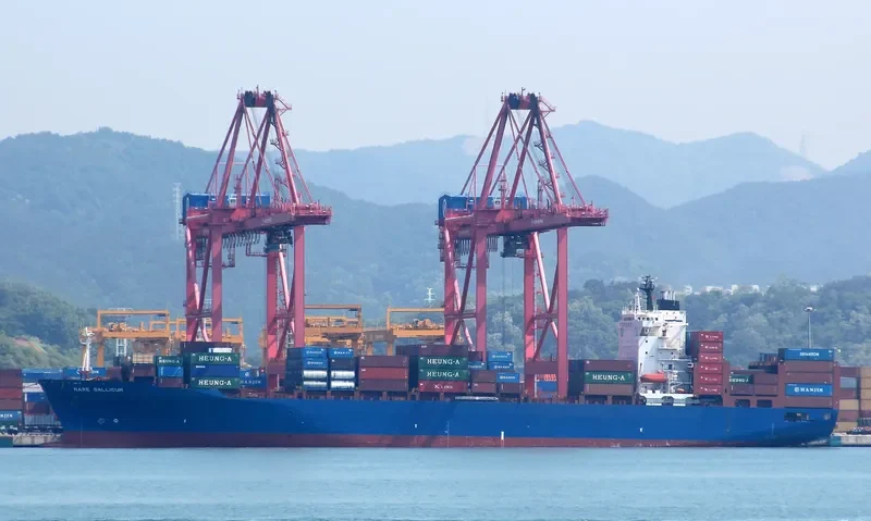 HAMMONIA GALLICUM Container Ship IMO 9122394 photo 5