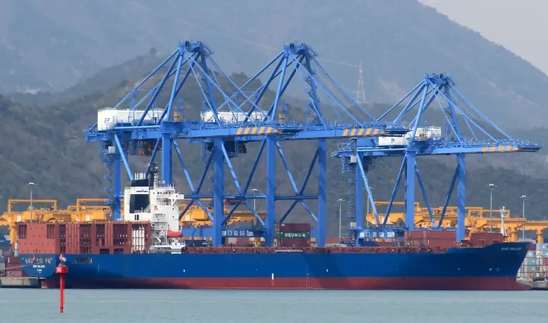 HAMMONIA GALLICUM Container Ship IMO 9122394 photo 6