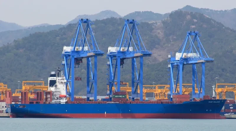 HAMMONIA GALLICUM Container Ship IMO 9122394 photo 8
