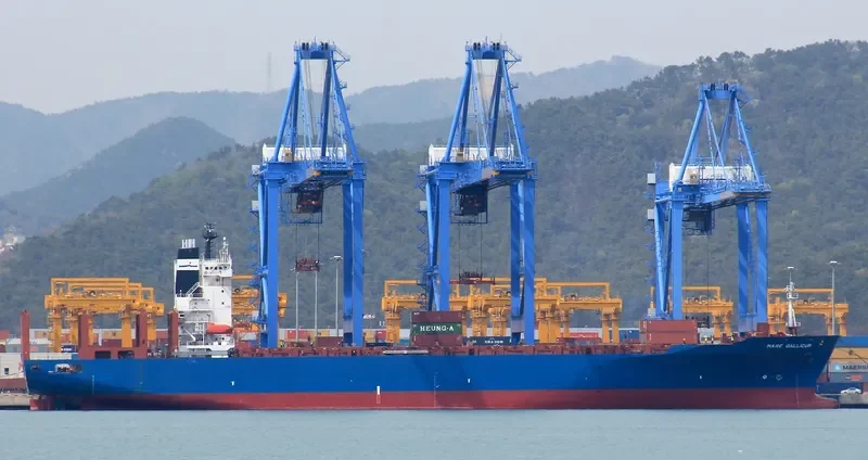 HAMMONIA GALLICUM Container Ship IMO 9122394 photo 9