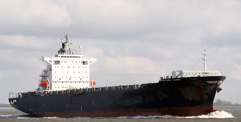 MSE Container Ship IMO 9122411 photo 3