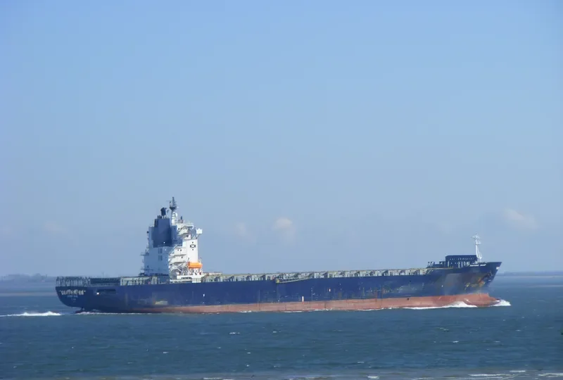 MSE Container Ship IMO 9122411 photo 4